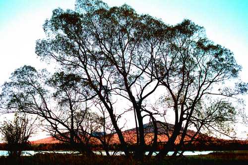 NEAR SUGARLOAF